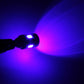 T10 blue LED bulbs glowing purple-blue light