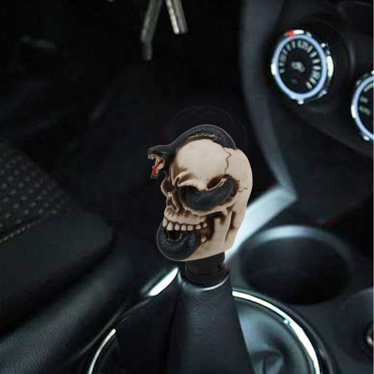 Resin skull gear shift knob with black snake-like detail and black textured base