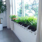 Row of black pots in a white wall hanging planter system with green plants
