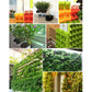 Wall hanging planter system in green, orange, and yellow with black pots and plants