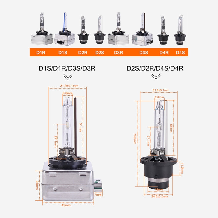 Assorted HID bulb types display with D1S/D3S lineup and dimension charts