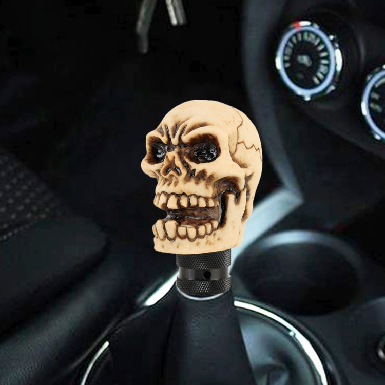 Skull-shaped gear shift knob with tan resin skull and black textured base