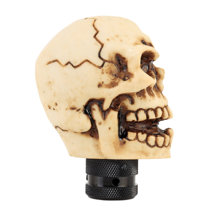 Tan skull gear shift knob with distressed side profile and black textured base