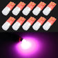 T10/W5W LED clearance bulbs 10-pack, pink LEDs with magenta glow
