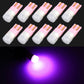 10-pack T10/W5W LED clearance bulbs, pink cap, glowing purple light