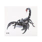 Scorpion animal-pattern car decal on square card, A18