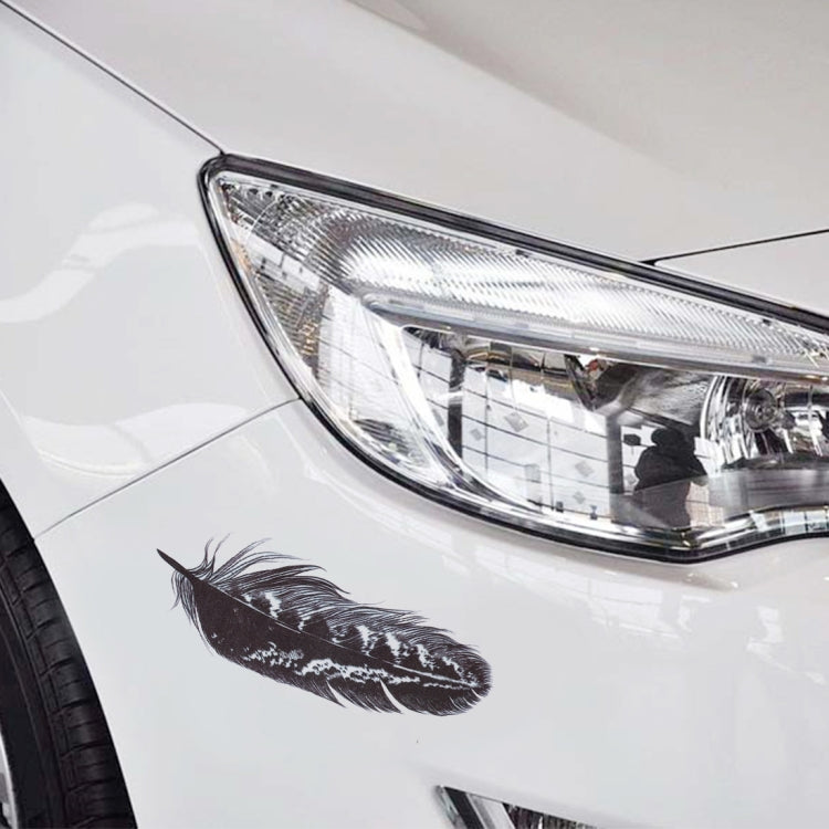 Feather car body decal sticker with dark gray feather on light car panel