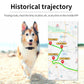 Pet GPS tracker on dog’s collar, with location route on phone