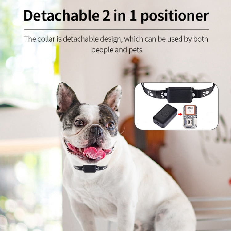Pet GPS tracker on dog collar with detachable 2-in-1 module holder
