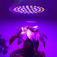 Plant growth LED bulb emitting purple light with square LED grid for plants