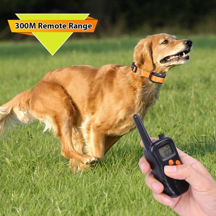 Dog wearing orange bark collar with black handheld remote transmitter held nearby