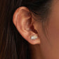 Closeup of silver sloth stud earrings with enamel body detail on the ear