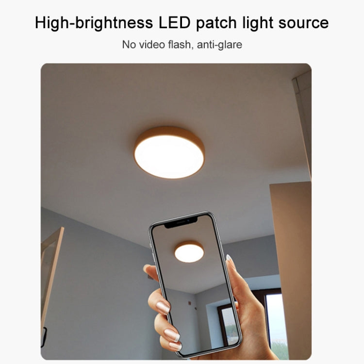 Round flush LED ceiling lamp with warm white light disc