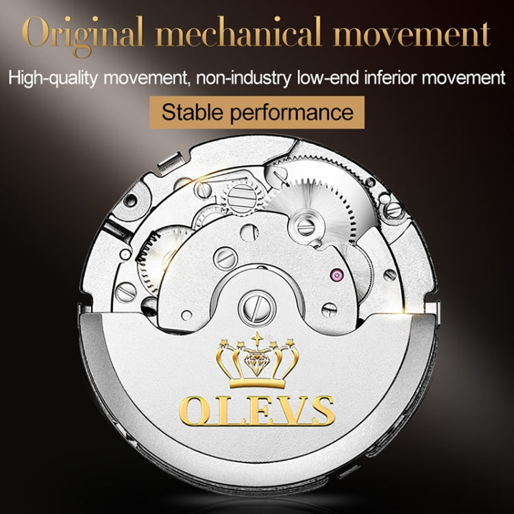 OLEVS mechanical movement view through the case back with gold OLEVS logo