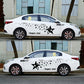 Black star pattern car decal set on white car doors and side panels, 2 pieces.
