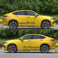 Car door decorative flower totem decal strip with black leaf-and-flower pattern