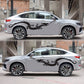 2-piece dragon car decal sticker set, black dragon on gray car side panels