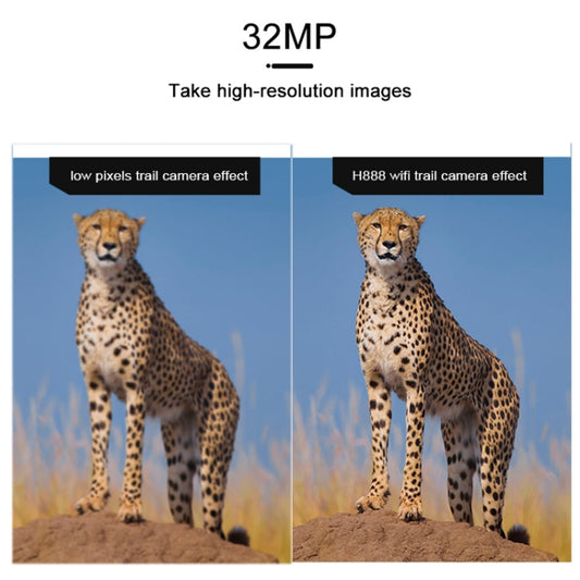 Hunting camera image quality comparison with two cheetah photos on display