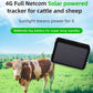 Solar powered GPS tracker with black front solar panel, shown with cattle