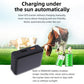 Black solar GPS tracker with built-in battery, shown with grazing cattle