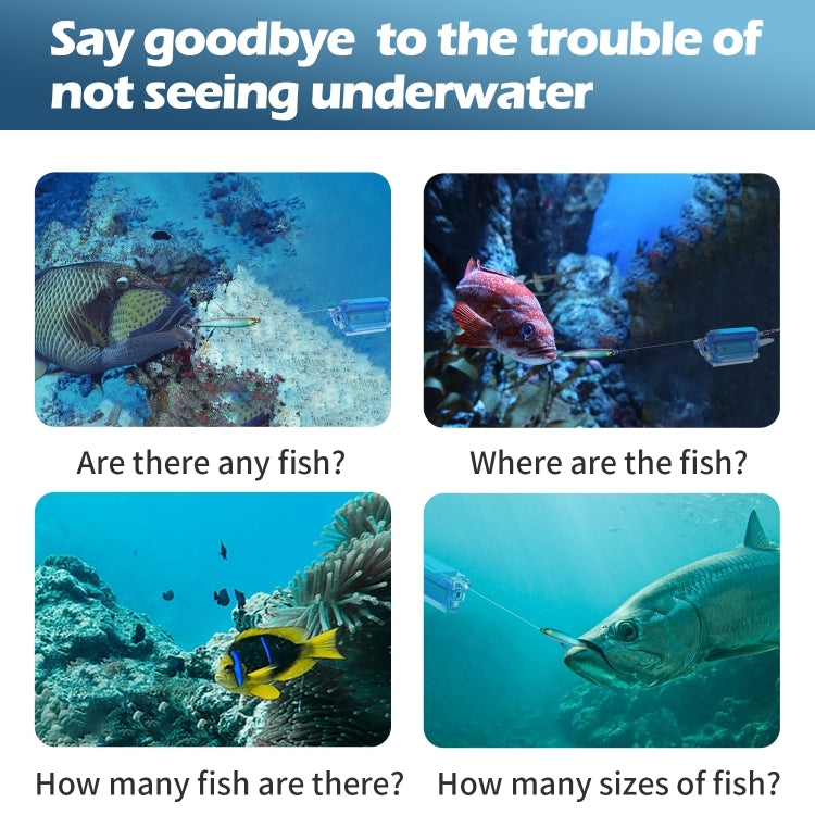 Underwater camera preview panels showing fish and underwater scenes