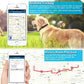 Waterproof GPS dog collar locator with phone maps for realtime tracking and history routes