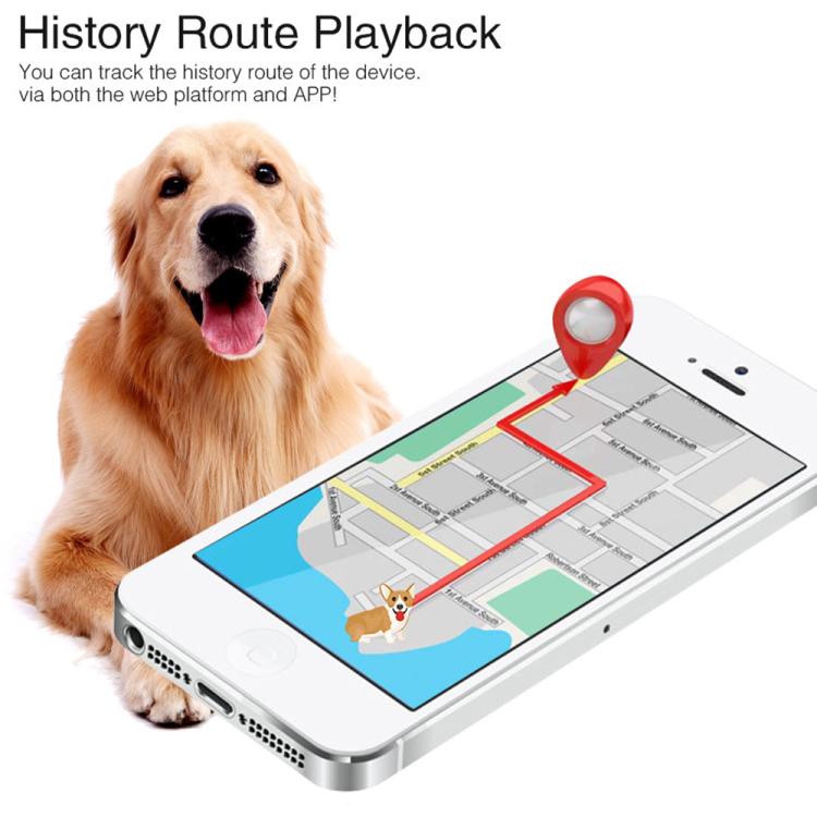 Waterproof GPS dog collar locator with golden retriever and tablet history route playback