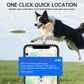 GPS pet collar tracker worn by a dog, featuring an orange strap and white device.