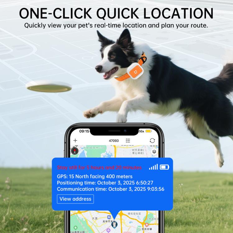 GPS pet collar tracker worn by a dog, featuring an orange strap and white device.