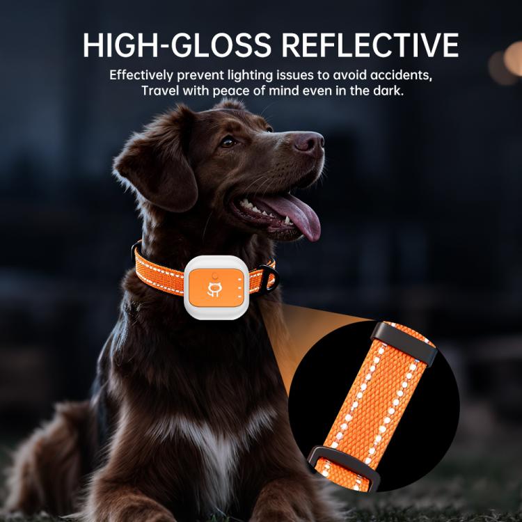 GPS pet collar tracker on a sitting dog with orange reflective strap and white module.