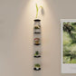 Black wall-mounted shelves set holding small potted flowers and decor