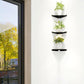 Wall-mounted triangular black corner shelf holding potted plants