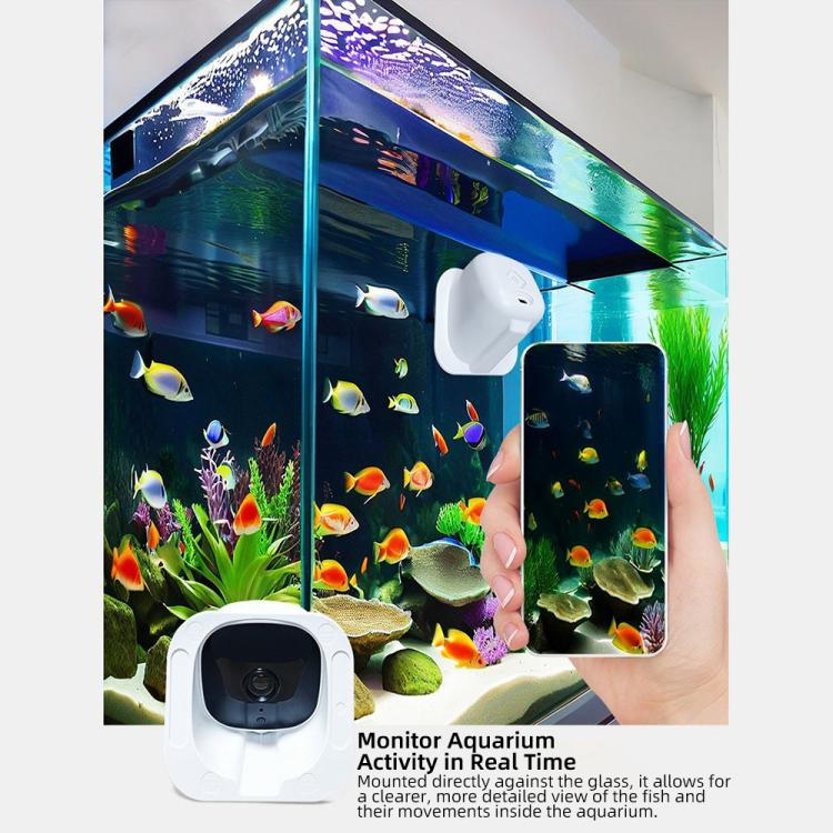 White security camera and smartphone displaying an aquarium monitoring view