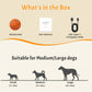 Smart automatic pet toy ball with orange textured surface and USB-C charging cable