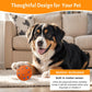Orange dog toy ball with blue motion sensor styling, beside a Bernese puppy