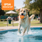 Dog running through splashing water with an orange smart pet toy ball with blue paw pattern