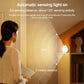 Wall LED induction night light with automatic sensing activation