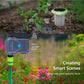 WiFi smart solar soil sensor stake with green solar cap and two metal probes