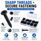 M3 black pan-head Phillips self-tapping screw set with 500 pcs in organizer box