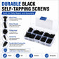 Durable black self-tapping screws set in clear case with Phillips drive heads