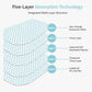 Five-layer pet urine pad diagram with skin-friendly top and absorbent polymer core.