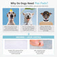 Pet pee pad infographic showing absorb and odor control features on panel with pads.
