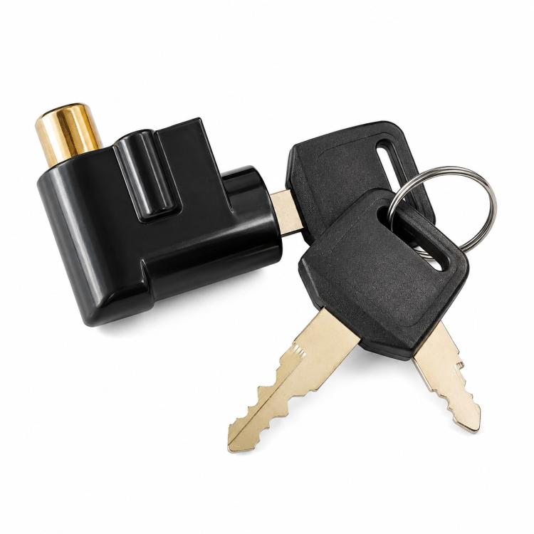 Gold-plated bolt on black lock with key ring and two keys