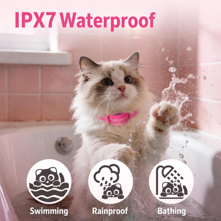 Pink cat training collar worn on a fluffy cat in a bath scene