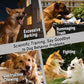 Remote anti-bark dog training collar concept with dogs and outdoor remote controller
