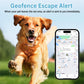 Dog wearing smart GPS pet tracker collar with smartphone displaying location map