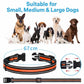Adjustable orange-striped pet tracker collar with measurement loop