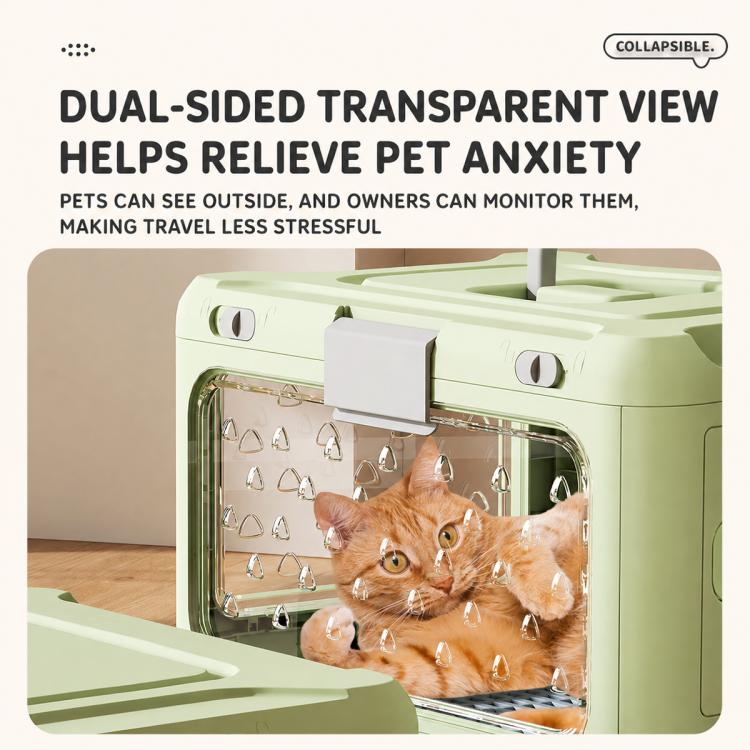 Green pet carrier with transparent front window and a cat looking out
