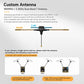 Custom dual-band antenna graphic showing antenna options for Low and 2.4G bands