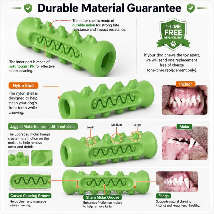 Green bone-shaped dog teething chew toy with nylon shell, molded ridges, and molar bumps.